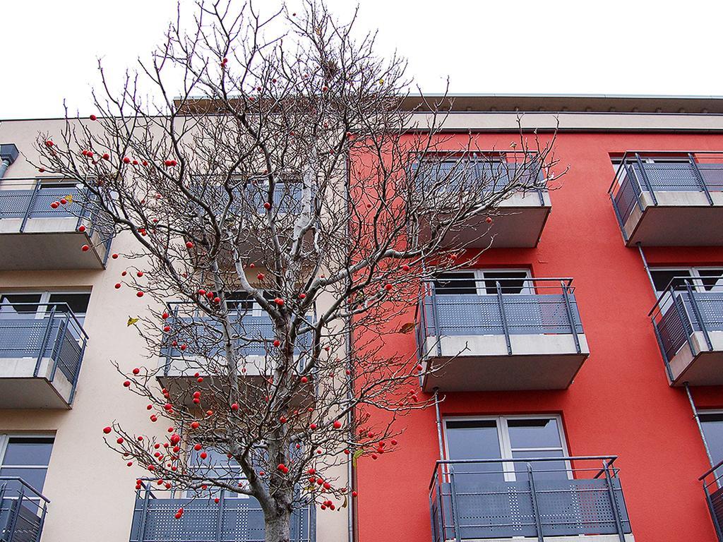 Boardinghouse Campus Lounge Paderborn Exterior photo